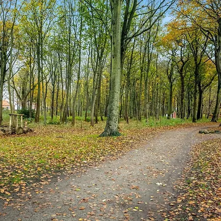 Διαμέρισμα Apartment Trpana - 1Km To The Fjord By Interhome Ringkøbing